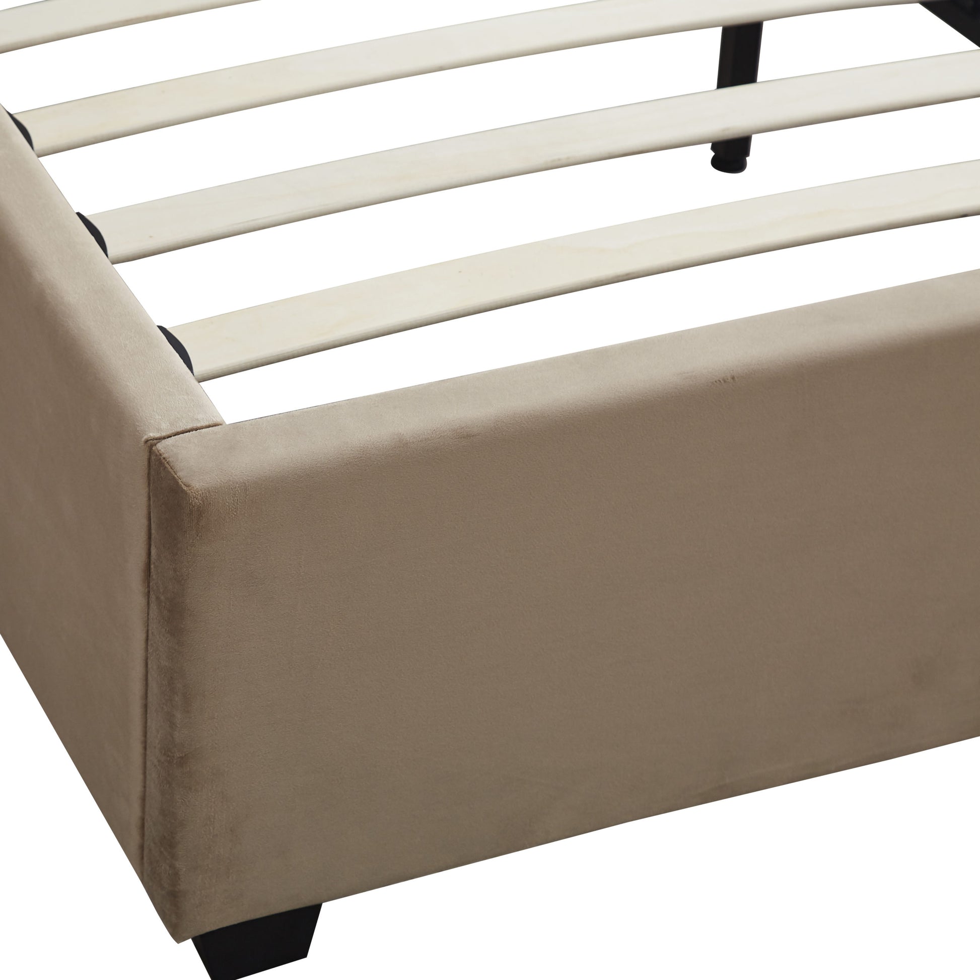 MADISON-5-BED-FAWN-VELVET-FABRIC-2024-200-204-056-F05-scaled.jpg