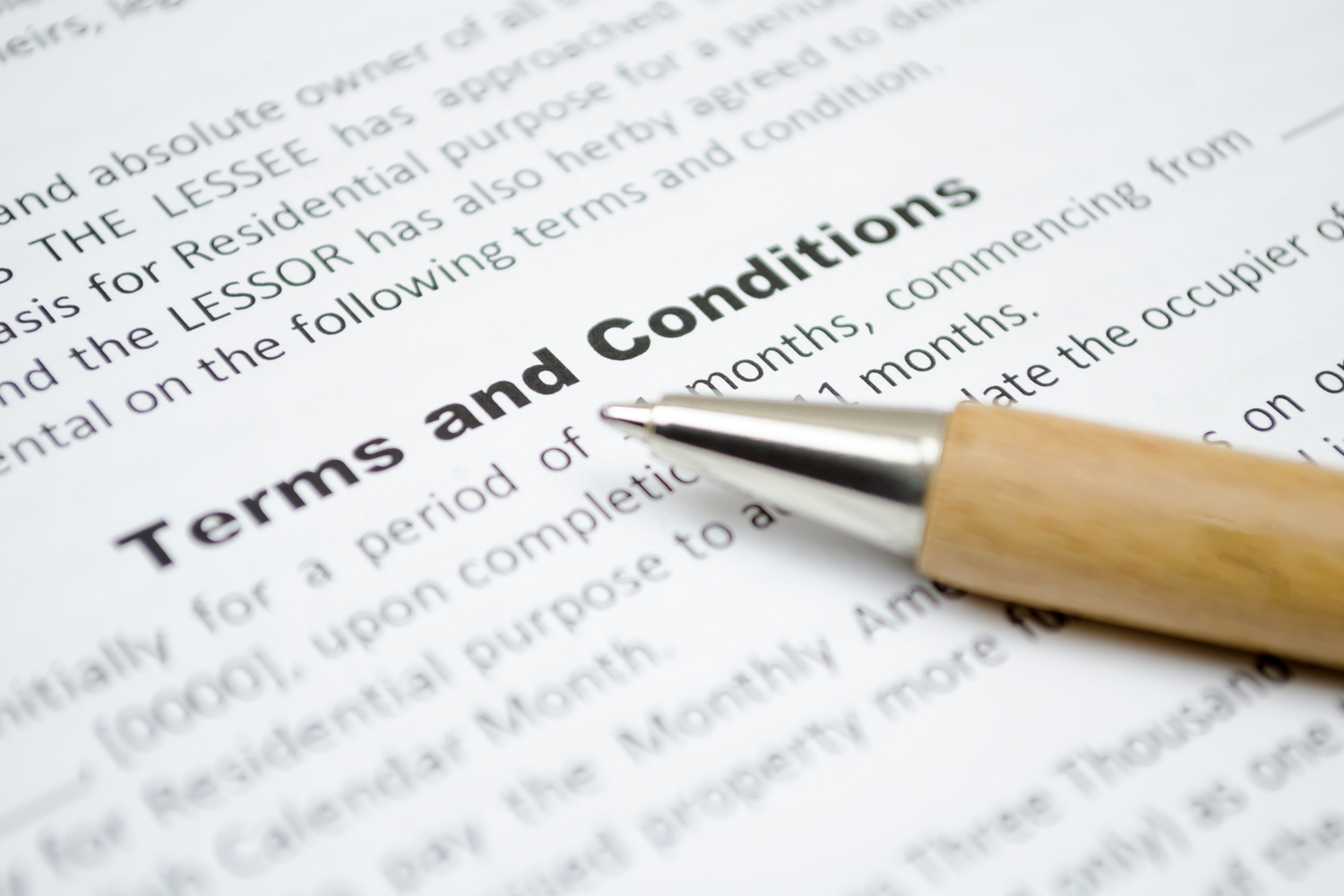 website terms and conditions