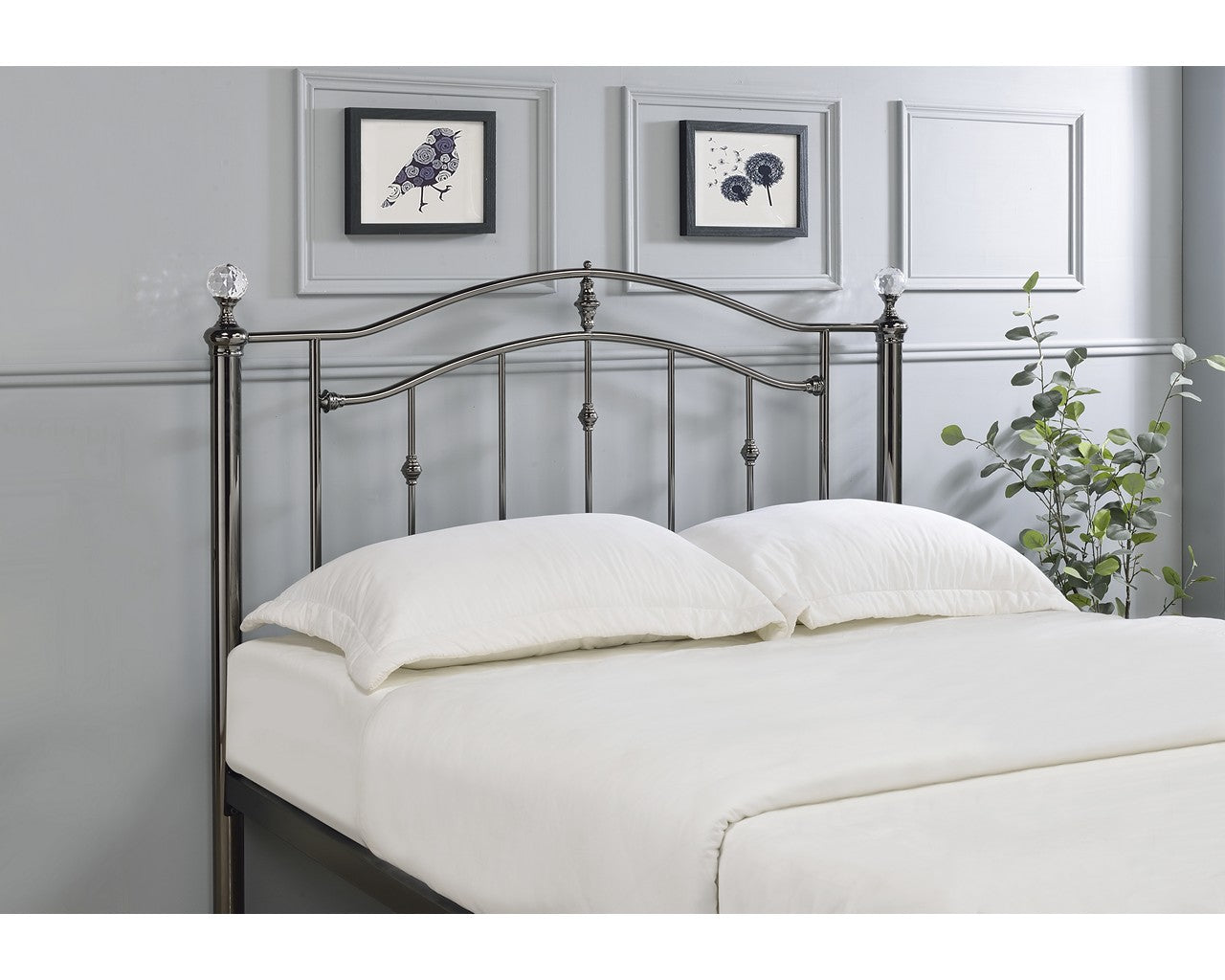 Limelight Collection - Callisto Bed Frame