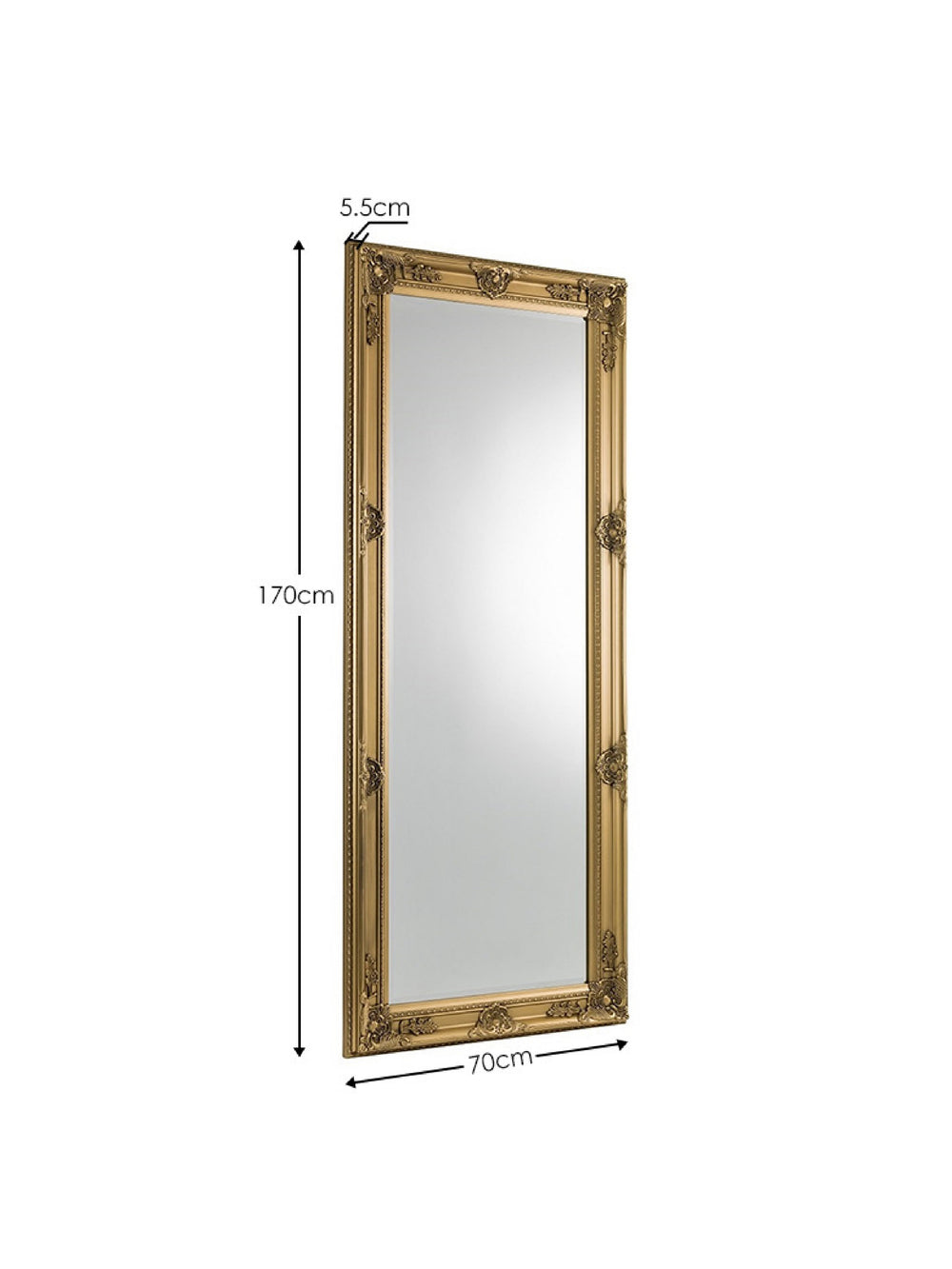 Palais Lean-To Dress Mirror Gold