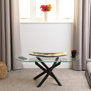 SHELDON-OVAL-COFFEE-TABLE-CLEAR-GLASS-BLACK-2025-300-301-094-05-scaled.jpg