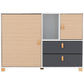 Brooklyn 2 Door 2 Drawer Storage Chest-Furniture-Seconique-Levines Furniture