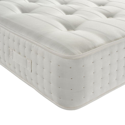 Dream Ortho Mattress only-Furniture-Dreamland-Small Single-Levines Furniture