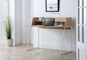 Palmer Desk