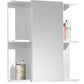 Mandy 1 Door Mirrored Cabinet