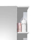 Mandy 1 Door Mirrored Cabinet