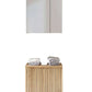 Austin 2 Door Under Sink Cabinet