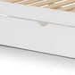 Nova Bunk Bed - Two Tone