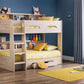 Orion Bunkbed  Sonoma Oak