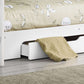 Orion Bunkbed  Pure White