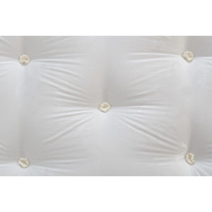 Solar Ortho 5' Mattress - IVORY
